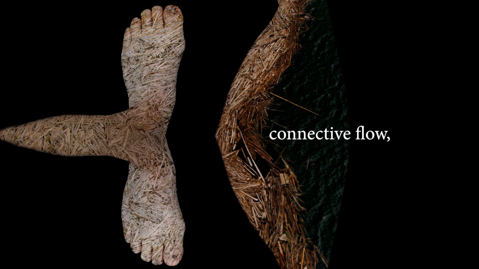 Body as Border: Traces and Flow of Connections (2022) prOphecy sun, Freya Zinovieff, Gabriela Aceves Sepúlveda and Steve DiPaola. Video Still